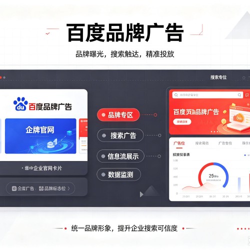金水百度品牌广告